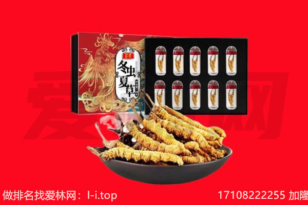 杭州市回收虫草.jpg